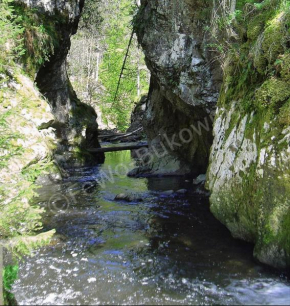 FeWo Bukowina